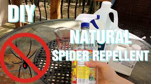 diy natural spider repellent you
