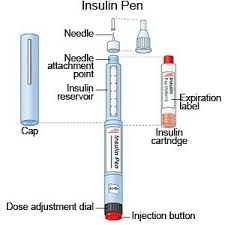 insulin pens what you need to know