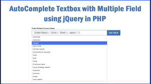 multiple field using jquery in php