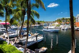 Oyster.com secret investigators tell all about holiday inn key largo. Holiday Inn Key Largo Dive Package Specials Sea Dwellers Dive Center Key Largo Fl 33037