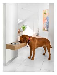 wooden raised wall dog feeding station