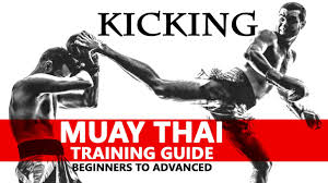 muay thai training guide beginners to