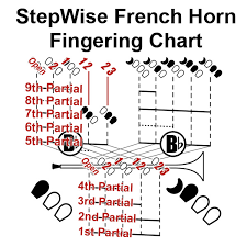 French Horn Fingering Chart And Flashcards Stepwise