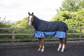 lightweight 0g turnout rug with combo