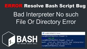 resolve bash script bad interpreter no