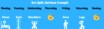 what is the best workout split