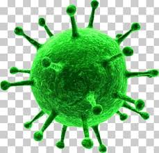Find an appropriate coronavirus image to broadcast your message. Coronavirus Png Images Coronavirus Clipart Free Download