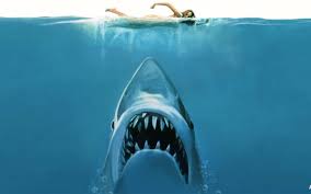 How Jaws Went From Best Selling Book to Blockbuster Movie | Den of Geek