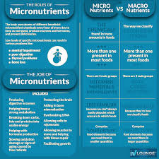 micronutrients the iv lounge
