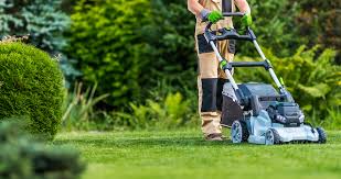 best lawn mowers 2023 tried and tested