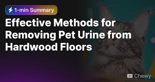 Removing Pet Urine From Hardwood Floors