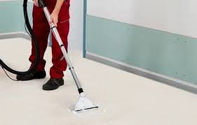 professional carpet cleaning why it s