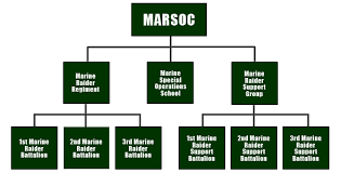 Marsoc Organization Chart Marsoc Marines Marine Commandos