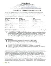 Professional Summary Resume Examples Great Resume Example Free