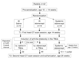Flow Chart Of The Study Design Induction Of Arthritis Was