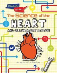 Human Circulatory System For Ks1 And Ks2 Children Heart