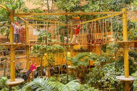newest treetop adventure park opens in