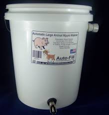 Hog Pig Goat Horse Cow Automatic Bucket