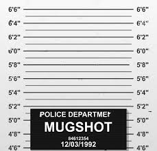 Hot Sale Custom Criminal Mug Shot Police Lineup Mugshot