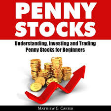 penny stocks audiobook by matthew g