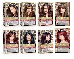 parisian chic hair dye color dying kit
