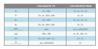 how blood groups are inherited and why