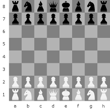 The chess pieces are then arranged the same way each time. Concise Rules Of Chess Filip Hofer Chess For Pc