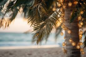 christmas lights palm tree images