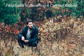 Acrt arborist training certification as a line clearance arborist or line clearance arborist trainee is issued upon satisfactory completion of the class. How To Become An Arborist A Field Guide By Treesurgical