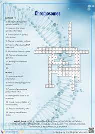 chromosomes crossword puzzle worksheet