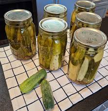 the art of making homemade dill pickles