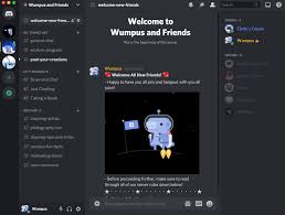 your friends on discord