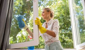 How To Clean Glass Doors And Windows