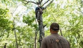 can-deer-see-you-in-a-treestand