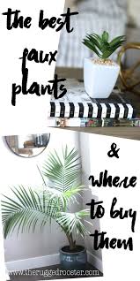 top 5 best faux plants where to them