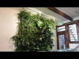 Living Wall Kit Installation You