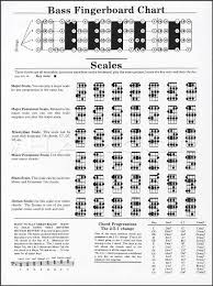 Details About Bass Guitar Chords Chart Chord Scales Fingerboard Chart Plus 2 5 1 Changes