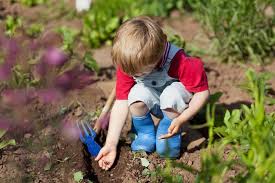 Ideas For Starting A Children S Garden