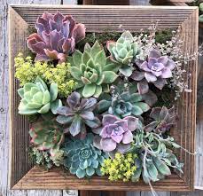 Vertical Succulent Garden Arrangement