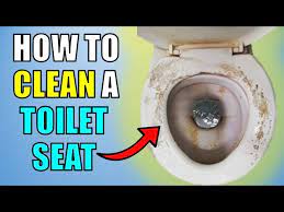 How To Clean A Toilet Seat Easily And