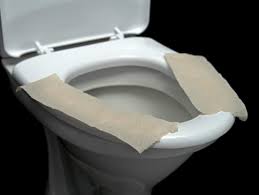 a toilet seat cover