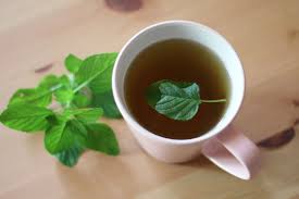 can pregnant people drink peppermint tea