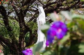 Honoring Mary In Your Garden