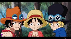 one piece ace sabo and luffy brothers