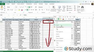 using the autofill tool in excel