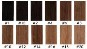 African American Hair Color Chart African American Hair