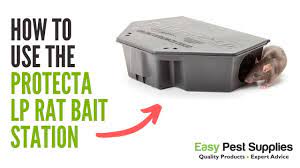 protecta lp rat bait station keeps