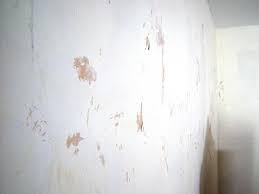 how to remove wallpaper using solvents
