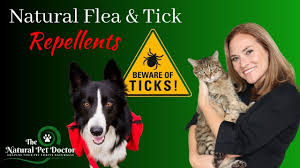 natural flea and tick remes for dogs