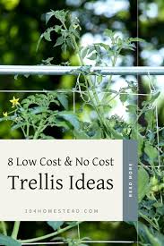 garden trellis ideas for vining foods